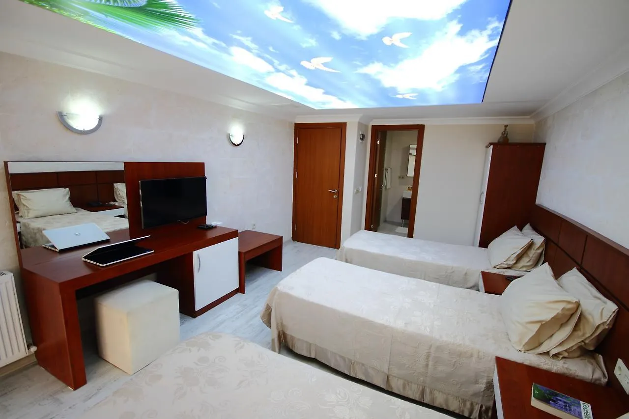 Istanbul Safir Hotel 0*,